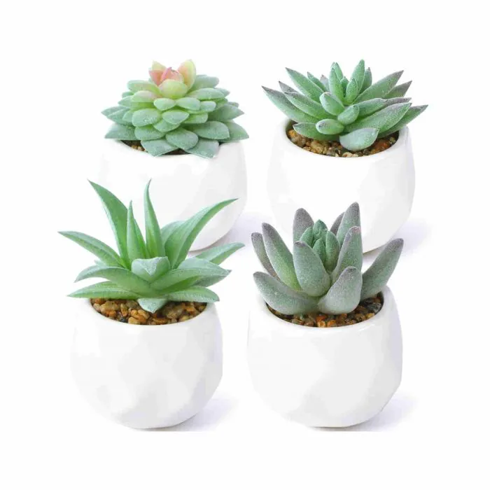 Mini piante grasse finte in vaso, set da 4 – Piante artificiali decorative  per interni, per camera da letto, ufficio, bagno, casa, cucina, verde