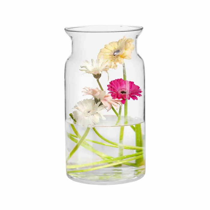 TREND FOR HOME Vaso Trasparente per Tulipani A: 29.5 cm Vaso Alto da  Interno da Terra Vaso Stretto e Lungo Vaso Vetro Grande Vaso Cilindro Vaso  Rotondo Vaso da Terra